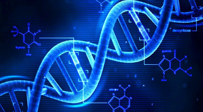 Did you know that you can talk to your DNA through meditation?